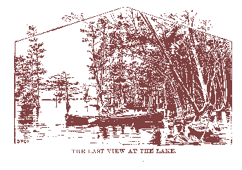 [Last View at the Lake]